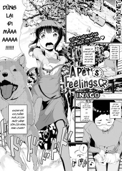 A Pet’s Feelings - Bìa truyện