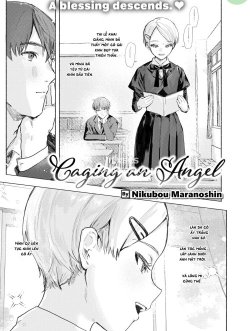 Caging An Angel - Bìa truyện