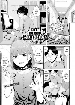 Cat-eared Romance - Bìa truyện