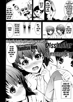 Dissimilar Symmetry - Bìa truyện