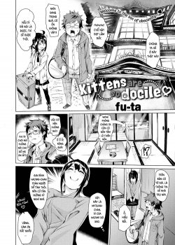 Kittens Are So Docile - Bìa truyện