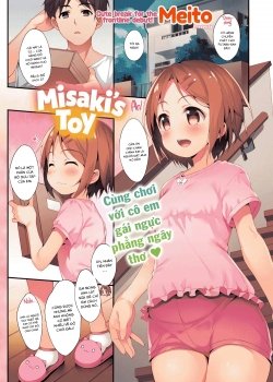 Misaki’s Toy - Bìa truyện