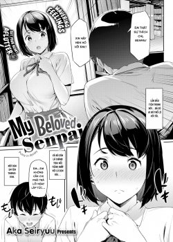 My Beloved Senpai - Bìa truyện