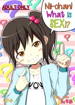 Nii-chan Sex Tte Nani - Bìa truyện