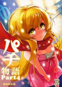 Pachimonogatari Part 4 - Bìa truyện