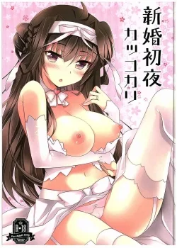 Shinkon Shoya Kakkokari - Bìa truyện