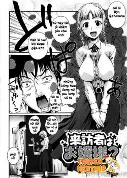 The Visitor’s An Ojou-sama - Bìa truyện
