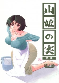 Yamahime No Mi Satomi - Bìa truyện