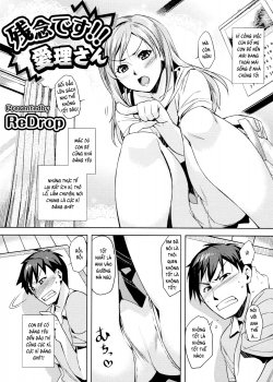 Zannen Desu!! Airi-san - Bìa truyện